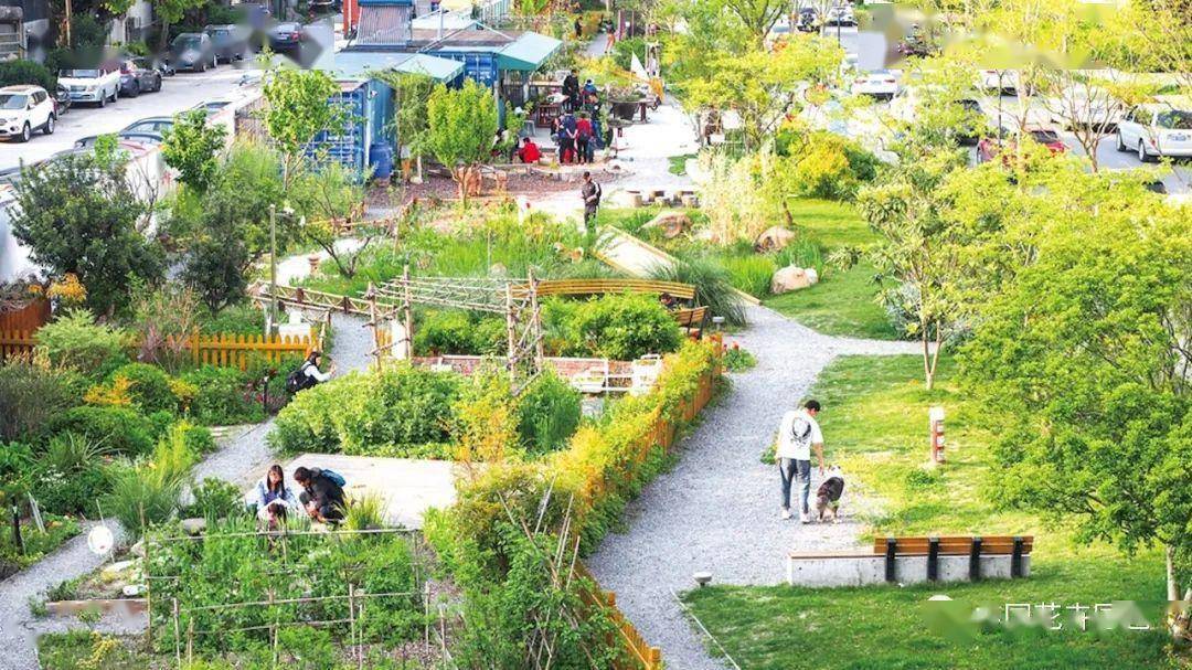 创智农园位于上海市杨浦区创智坊社区,是上海第一个建在开放街区中的