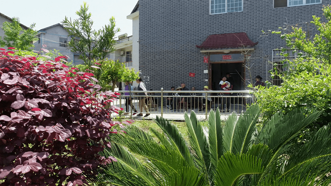 张家界市首届"双十佳"评选展播 | 桑植县瑞塔铺镇东旺坪村_治理_全村