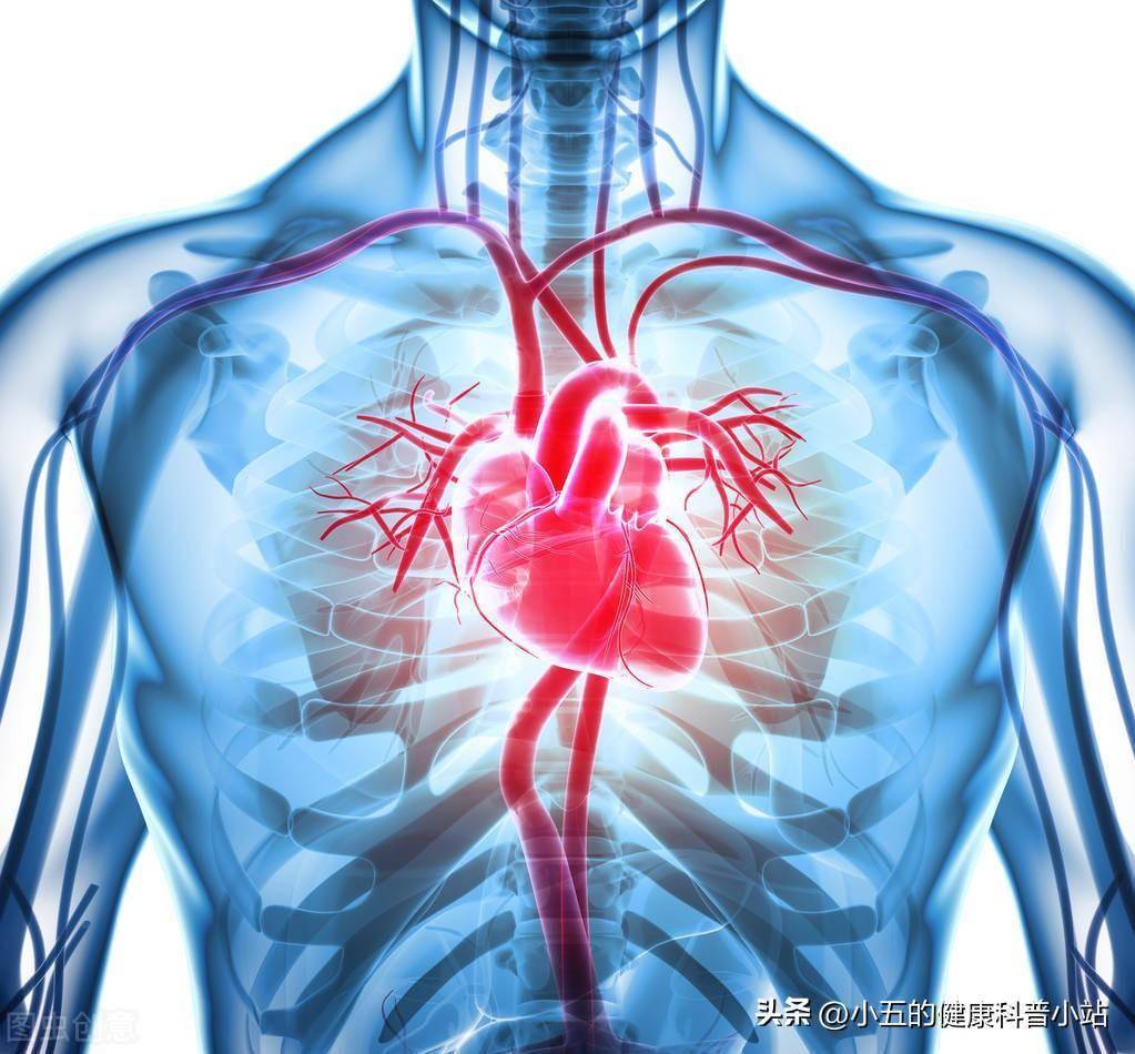 老年人好发冠脉痉挛怎么办?科学服用5种药物,积极改善心脏供血