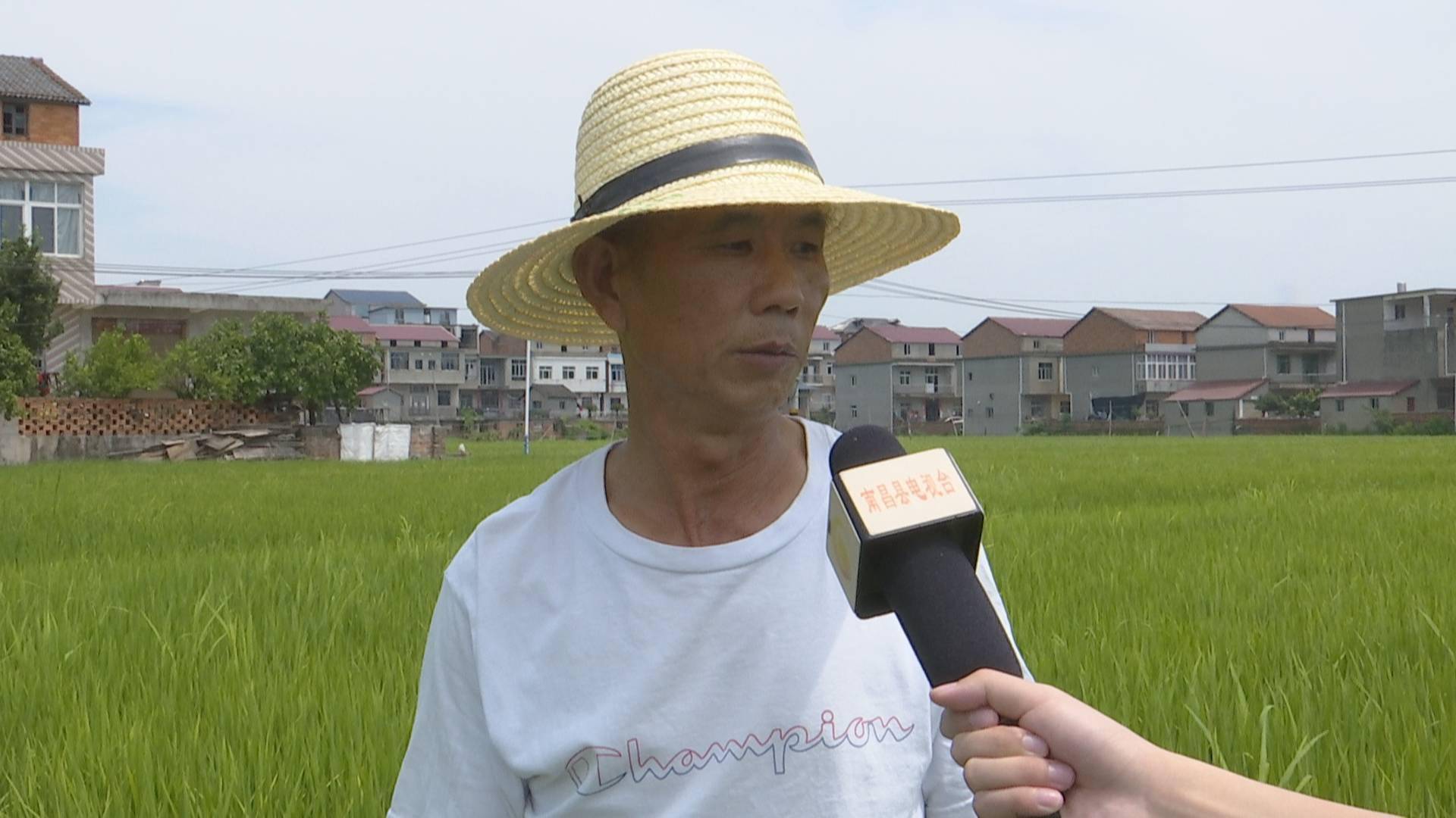 南昌县蒋巷镇:全力做好抗旱保收工作_影响_生产_陈雪根