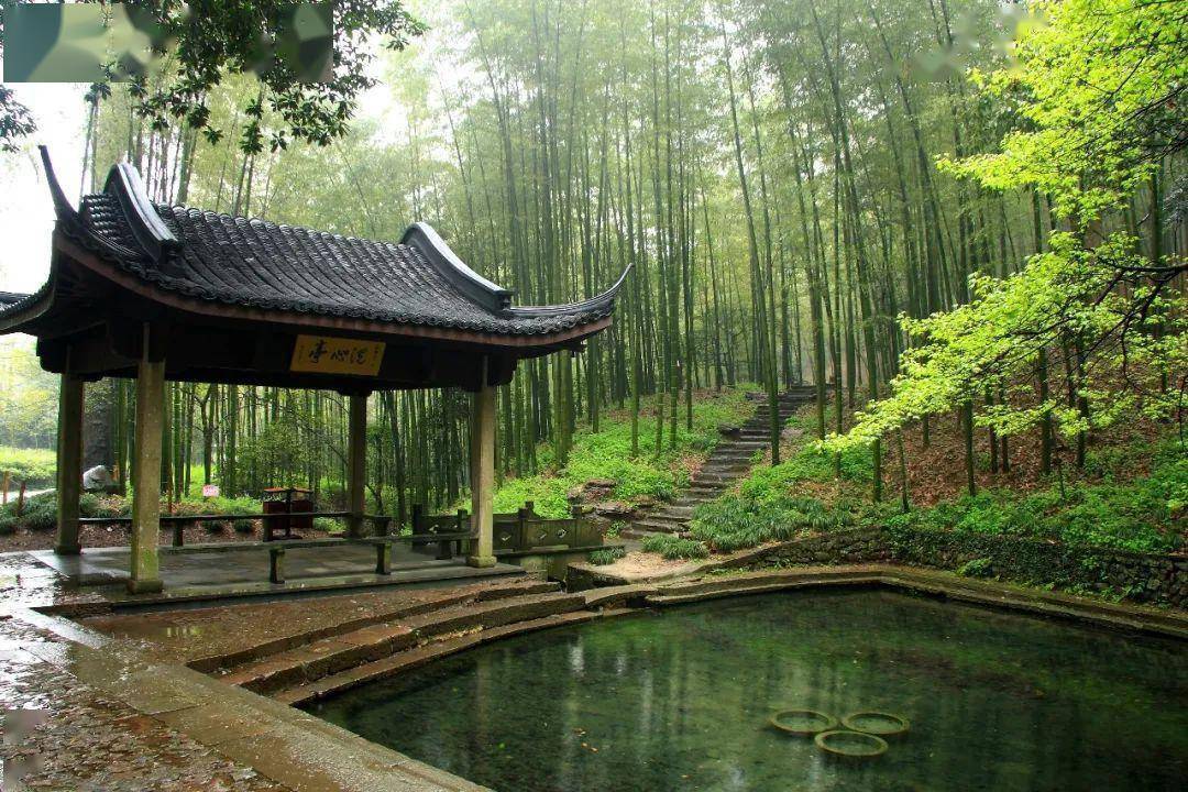 西湖西溪"凉"辰美景,助你消夏_云栖竹径_公园_被称为