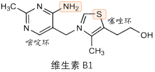 维生素b1结构特点图片