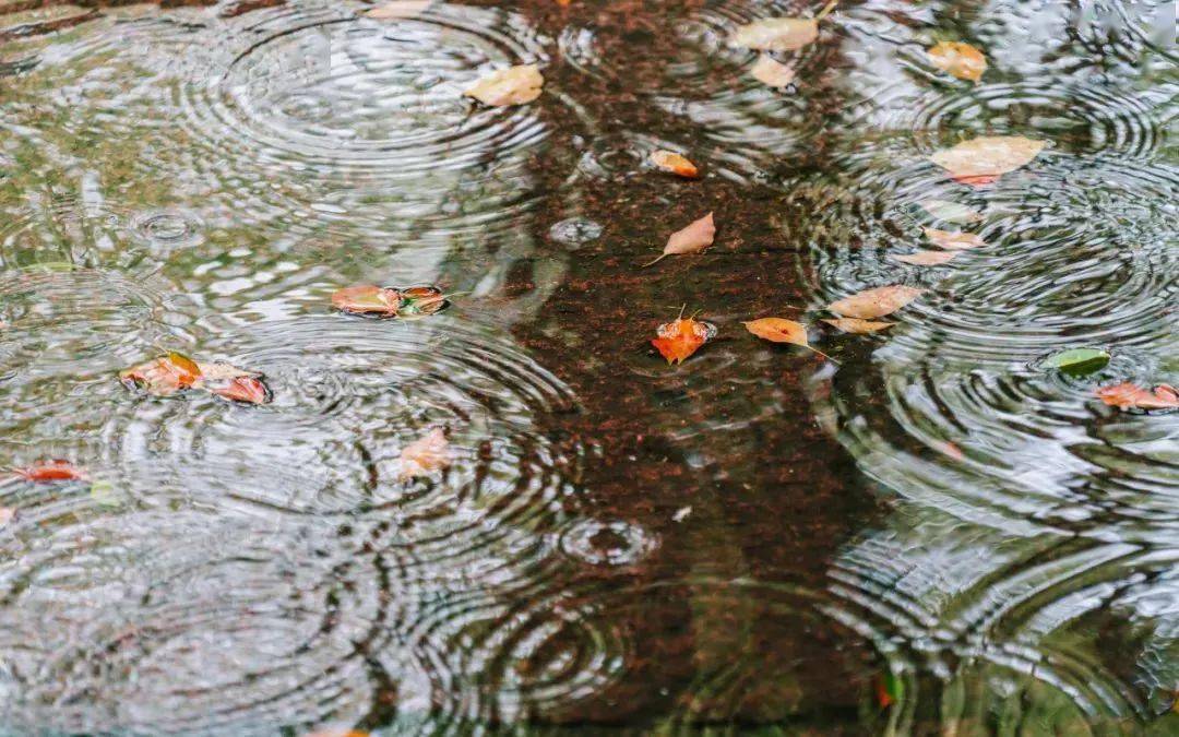 大雨转中雨图片