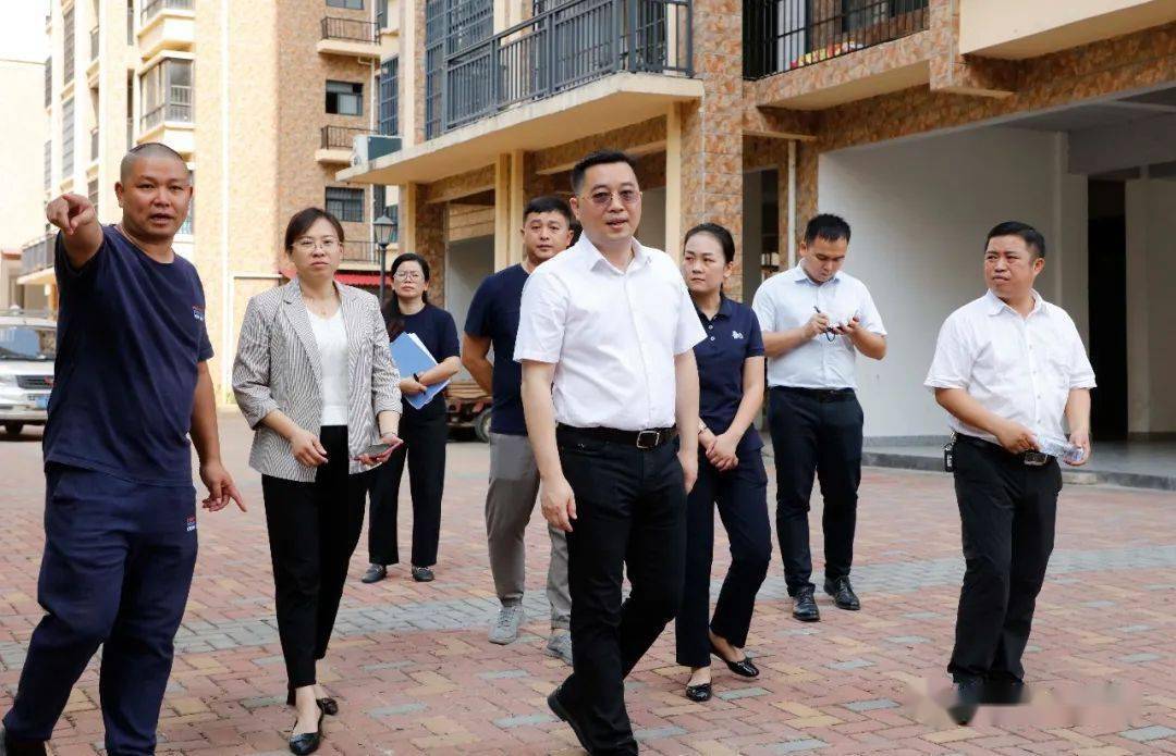 【人民城市人民建】柳城县领导调研创城网格化工作_李柳彬_文明_群众