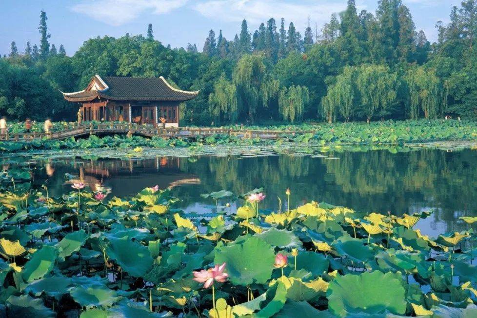 杭州西湖文化景观|夏之篇——文脉绵长,四季如歌_夏日_历史_湖面
