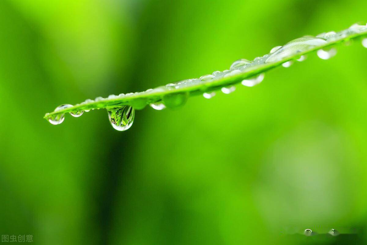 一滴水的照片唯美图片图片