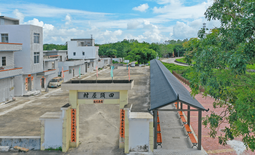 阳东这条村大变样_自然村_村民_三宝