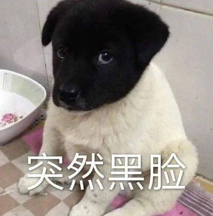 沙雕表情包 i 落魄了 家人们_熊猫头_梅子酒_少年时