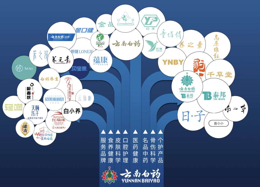 雲南白藥作為我國醫藥代表企業,在創新藥研發上也一直持續發力.