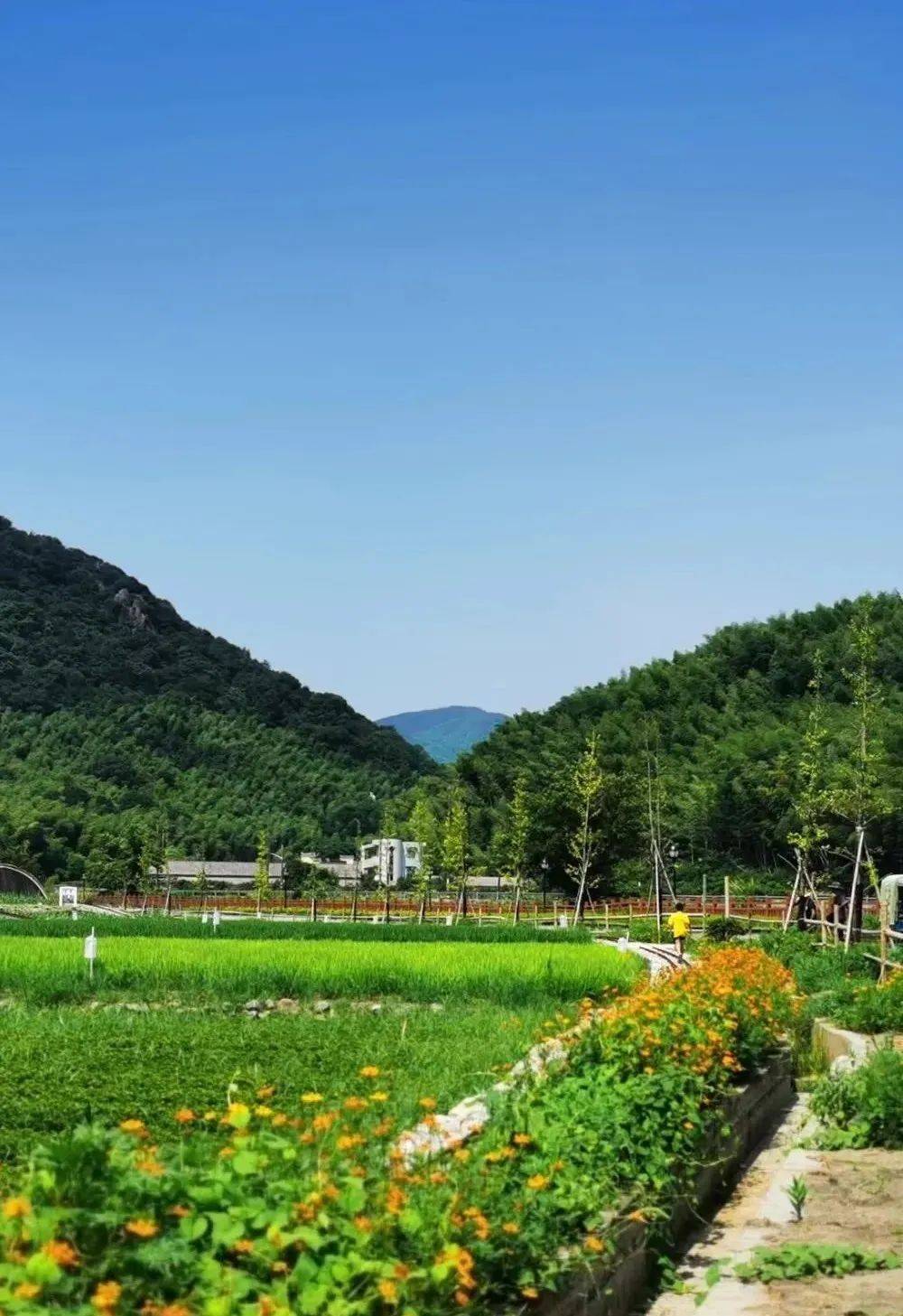 宋韵耕织园开园仪式暨东钱湖镇俞塘乡野艺术节举行!