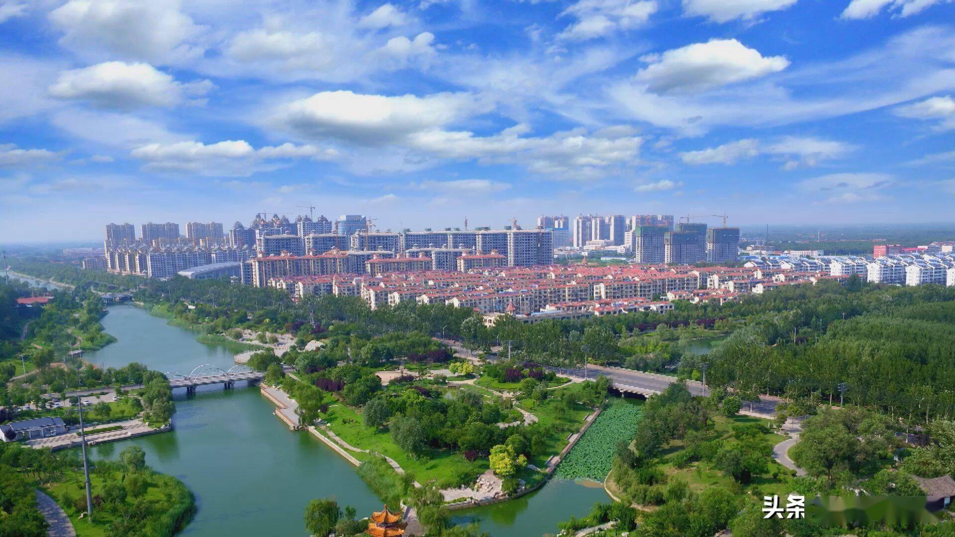 非凡十年:生态蝶变 向美而生_商河县_绿化_建设