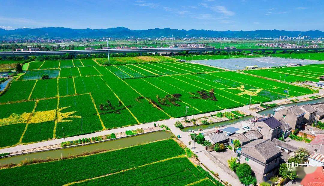 几年刚发现的8000多年的井头山文化余姚有着7000多年历史的河姆渡文化