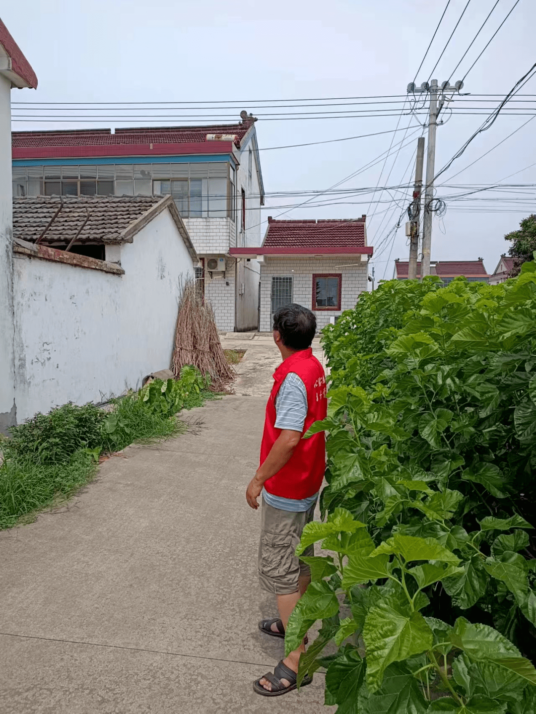 激情谱新篇 勇当领头雁 | 勤丰村网格长贲晓军抗灾记_巡查_进行_全村