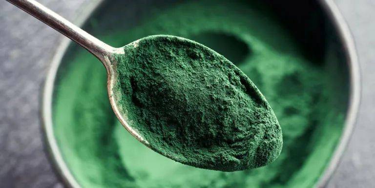 与传统的豌豆,大豆竞争总部位于以色列的微藻蛋白公司brevel最近获得