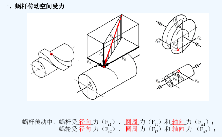 蜗轮蜗杆径向力图片