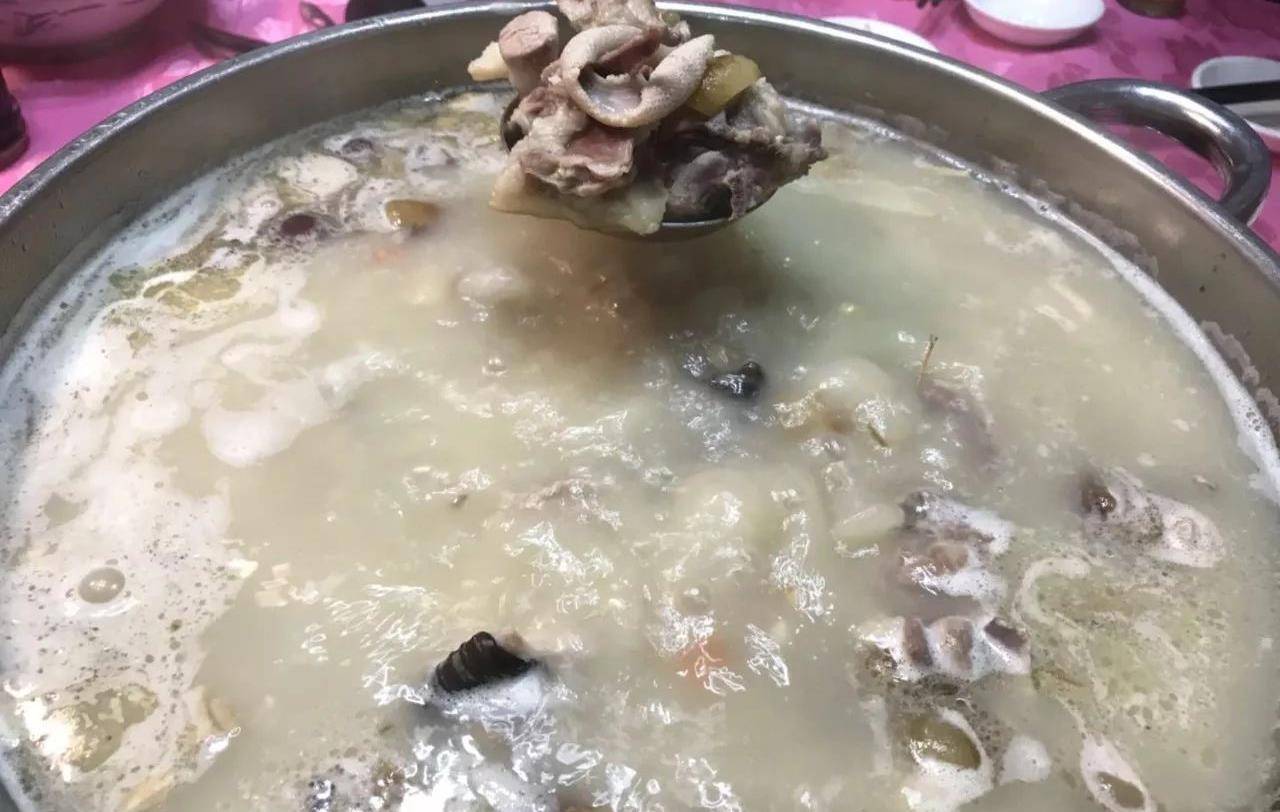 还会钻进被窝取暖,非常的可爱,怎么也不会想到,这世界上还有人吃猫肉