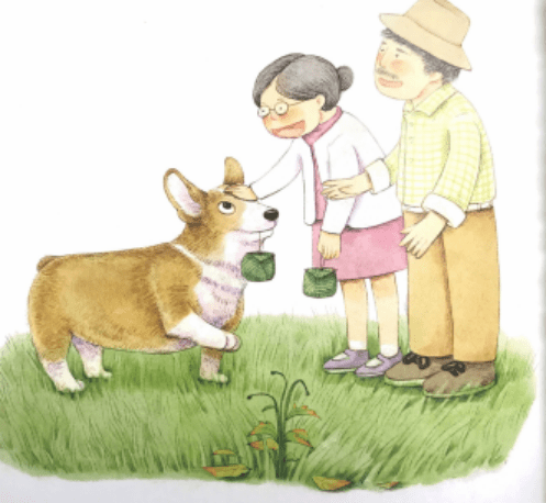 童游书海·小志故事汇|志愿者讲绘本故事——板凳狗和他的一朵小黄花