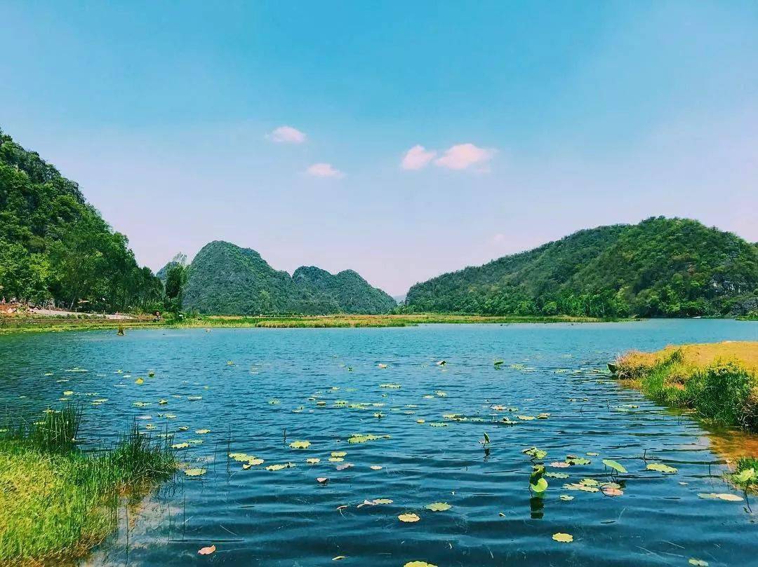 荷花_天地_山水