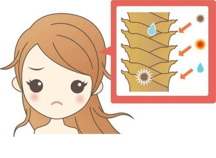 【健康宅家】皮肤科:头皮衰老不可忽视_毛发_治疗_头发