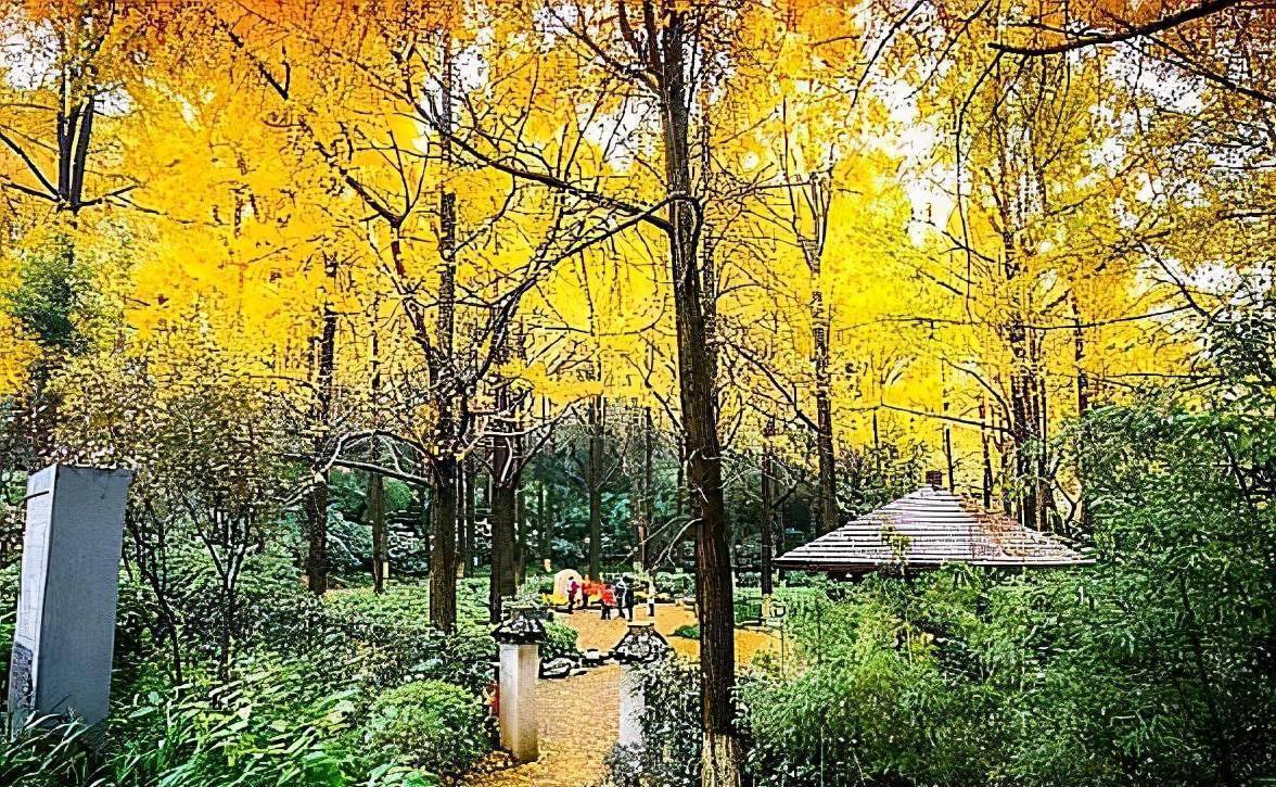 南京清凉山公园,一座藏匿在繁华都市的城市山林,关键是免费开放_游客