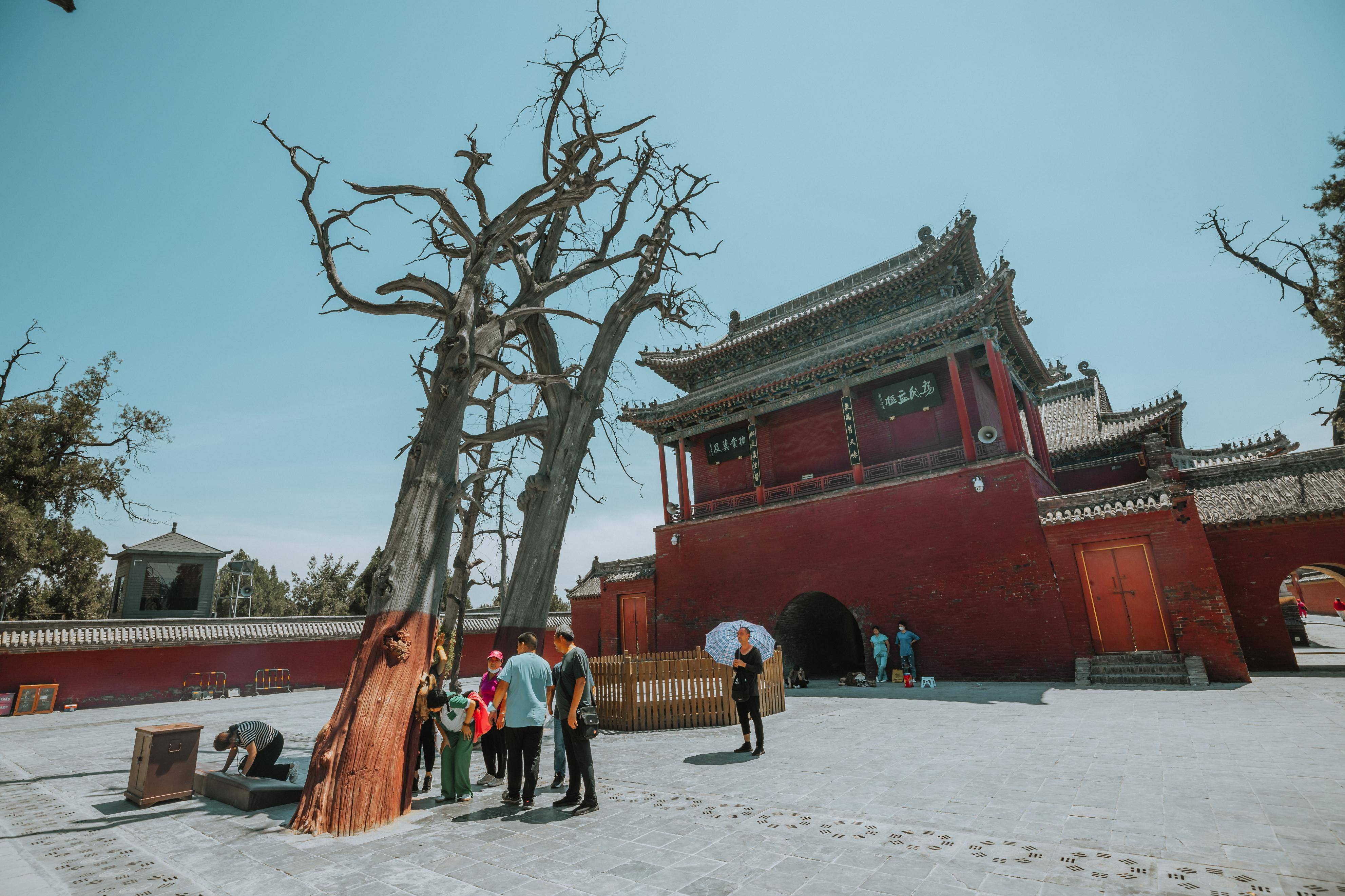 太昊陵午朝门图片