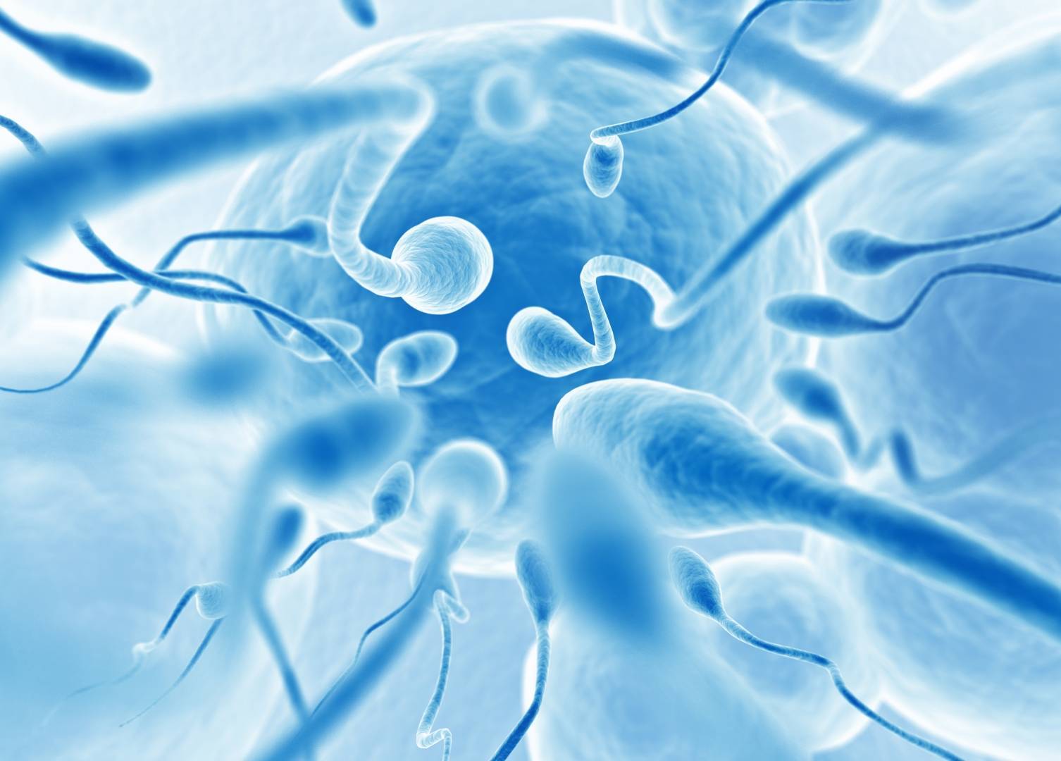精子对人类卵细胞的受精作用插画图片素材_ID:142488379-Veer图库