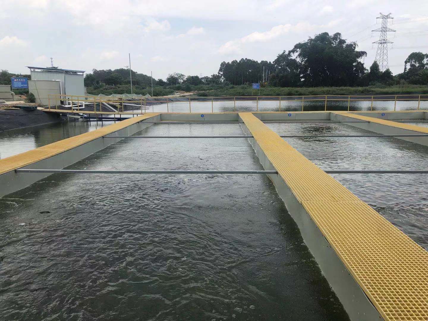 "跑道"养殖哪些品种更挣钱?_鱼儿_水质_水增