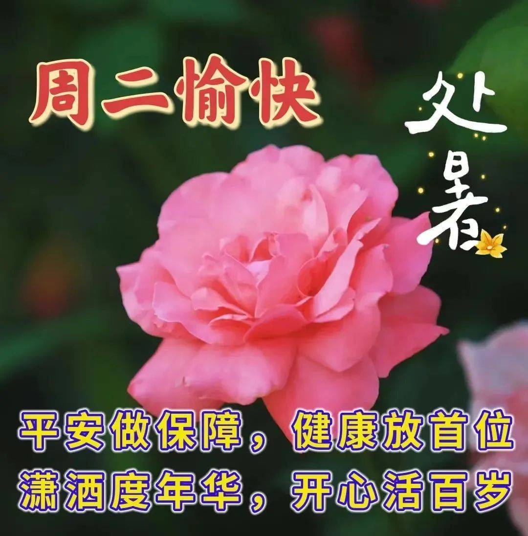 8月23日星期二处暑清晨早上好问候祝福动态表情图片 周二最新早安问候