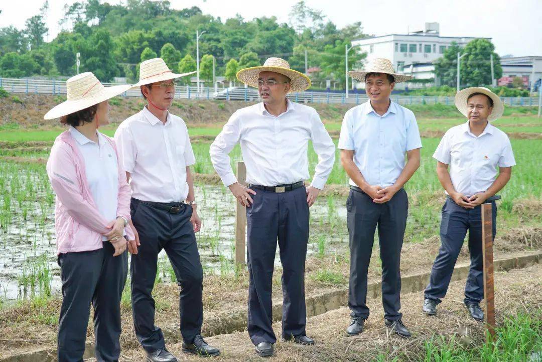 翁源县坝仔镇镇长书记图片