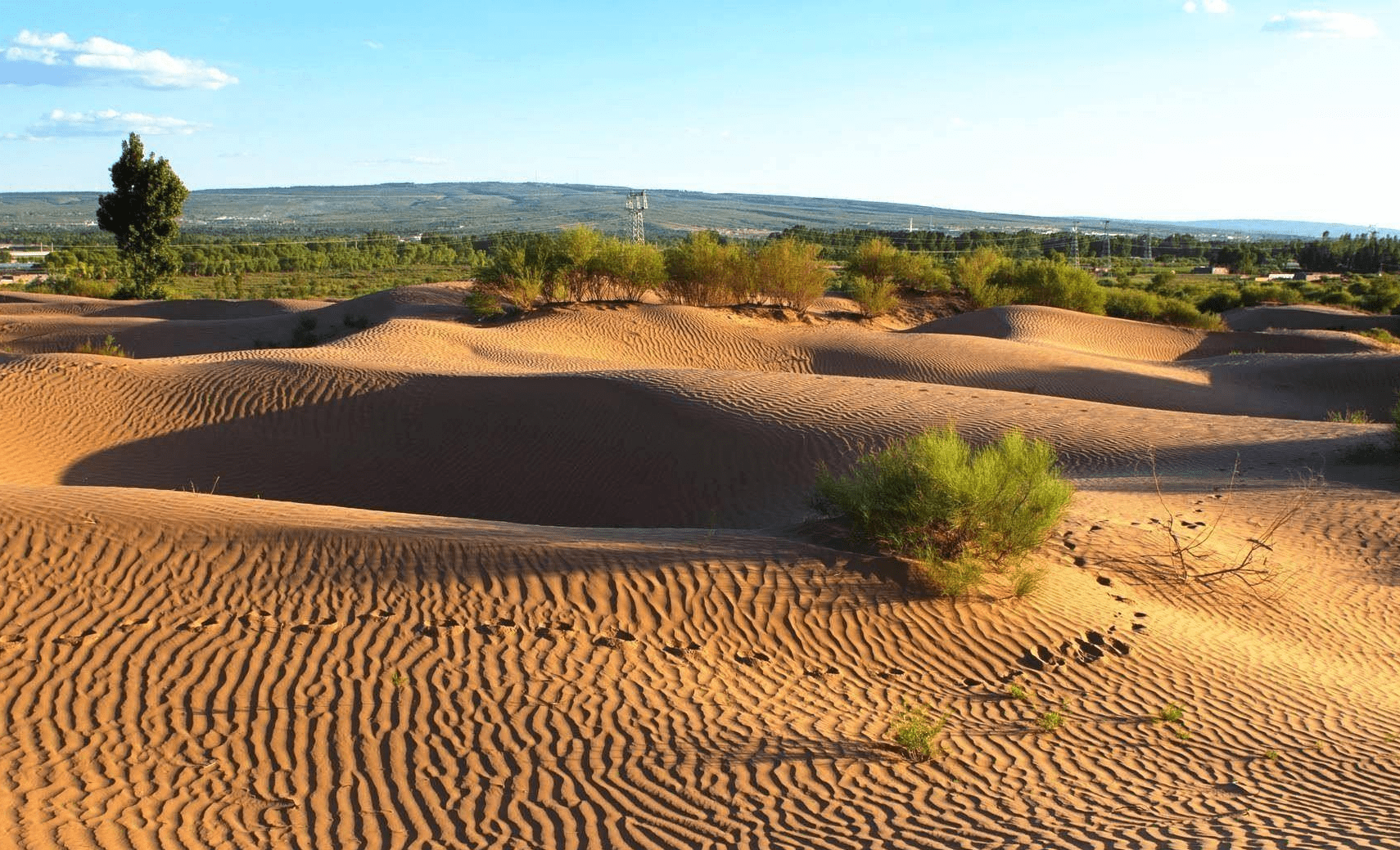 中国是否能消灭塔克拉玛干沙漠?沙漠变为绿洲,究竟是好还是坏?