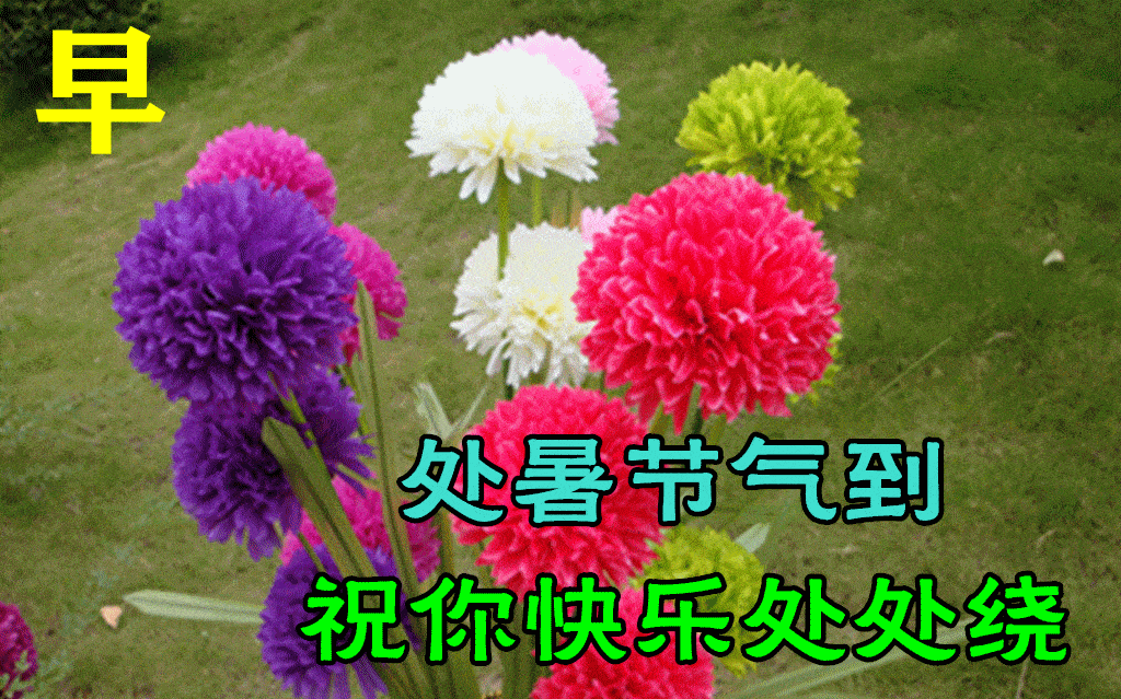 2022处暑早上好问候祝福动画表情图片包 处暑节气早安问候祝福语动态