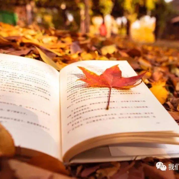 梁实秋 | 你的习惯里,藏着你的运气_wangxf_时间_生活