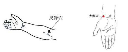 诱发咳嗽等症状,所以穴位养生一定要注意润燥养肺,可以选择尺泽,太渊