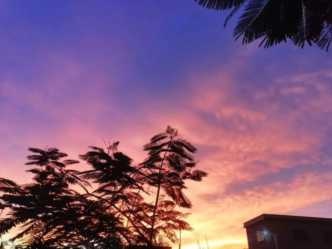 园洲人快抬头,看看这不一样的天空!_网友_来自_博罗县