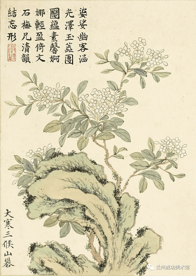 诗画阅微】董诰的《二十四番花信风图》_明一候_书画_宣传