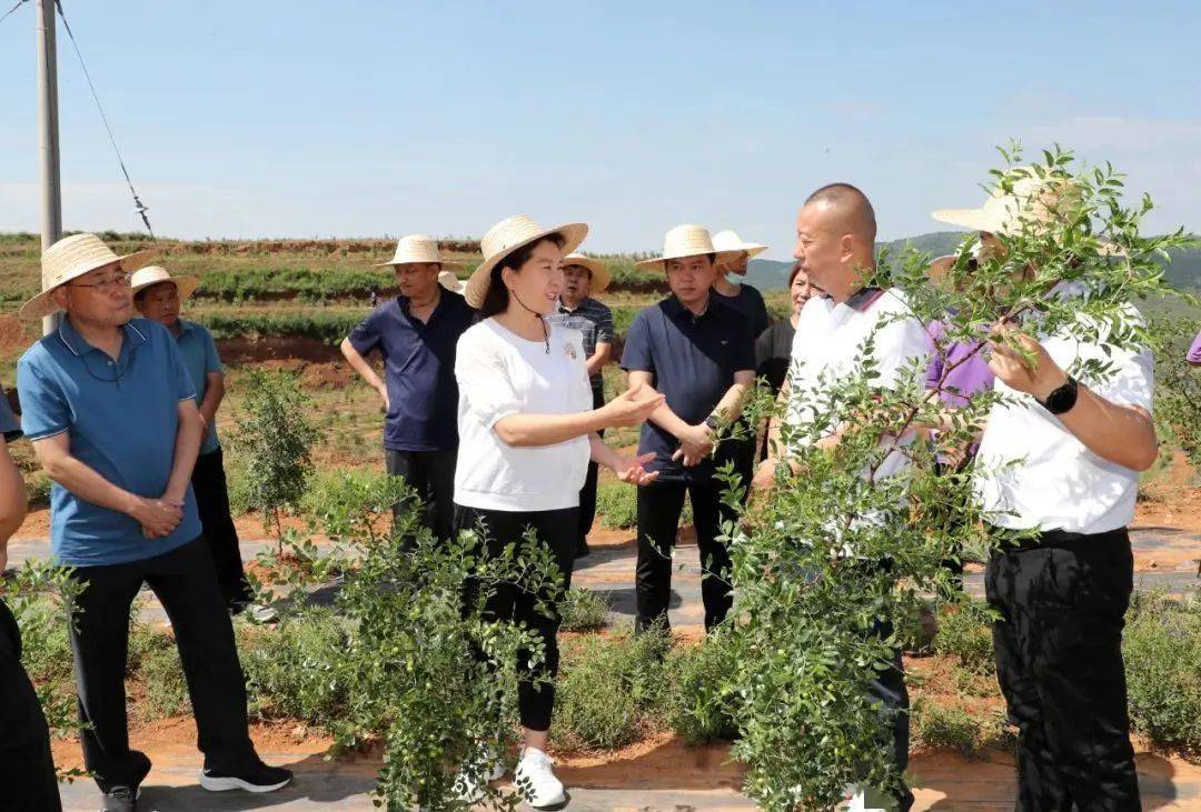 端氏镇调研巩固拓展脱贫攻坚成果同乡村振兴有效衔接工作_沁水_来源