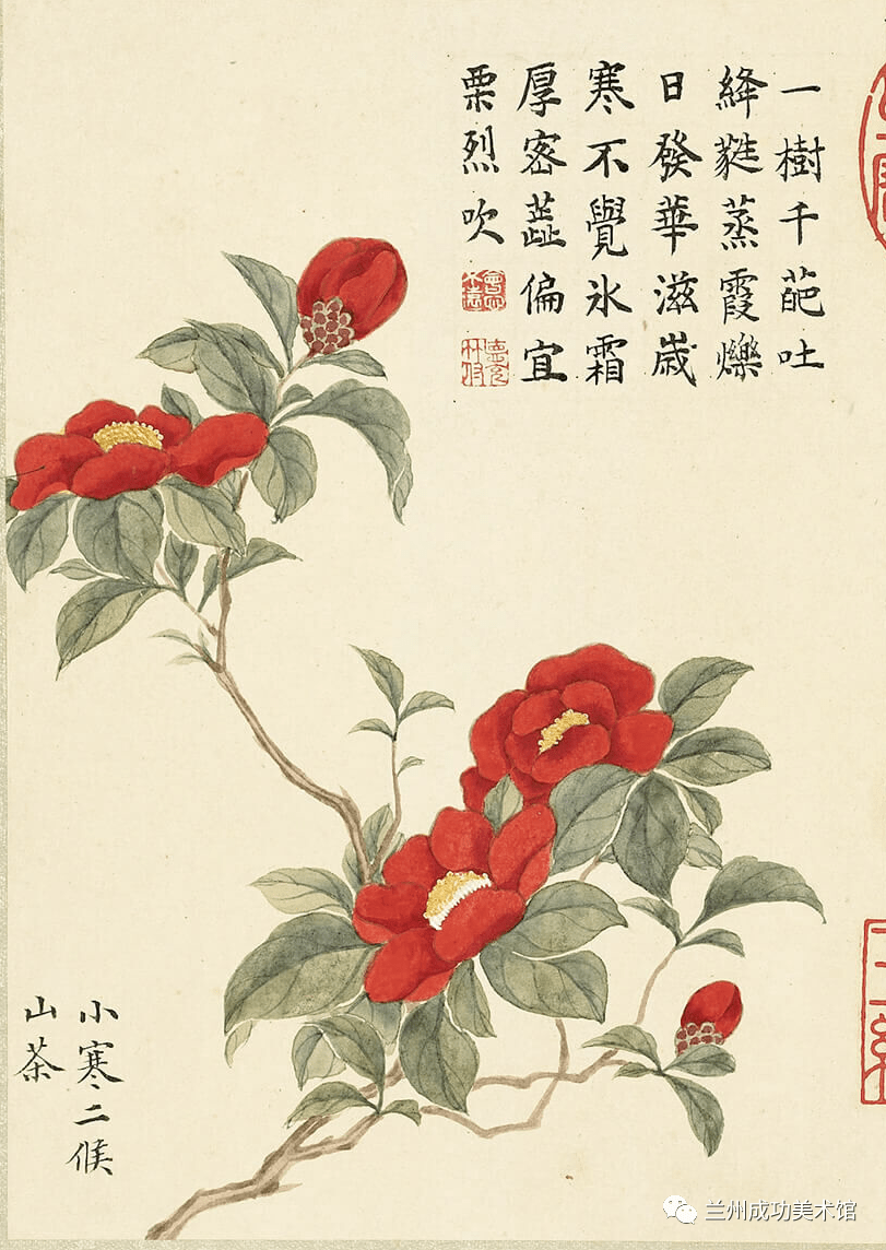 诗画阅微】董诰的《二十四番花信风图》_明一候_书画_宣传