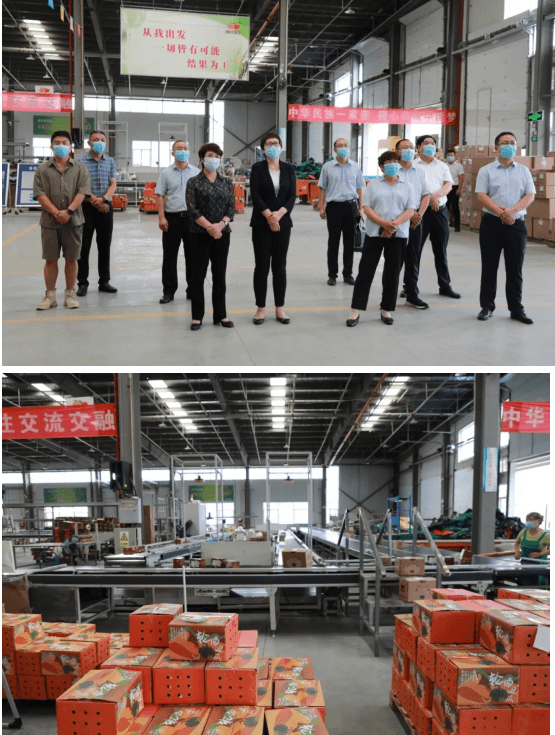 市政府副秘书长关小虎,市供销社党组书记,主任蒙群,武功县委书记