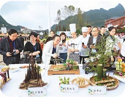 方竹出娄山_竹笋_桐梓县_中国
