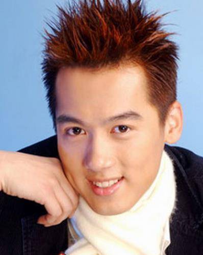 在2004年,机缘巧合下,参加了《超级男声》,最后一举夺冠.