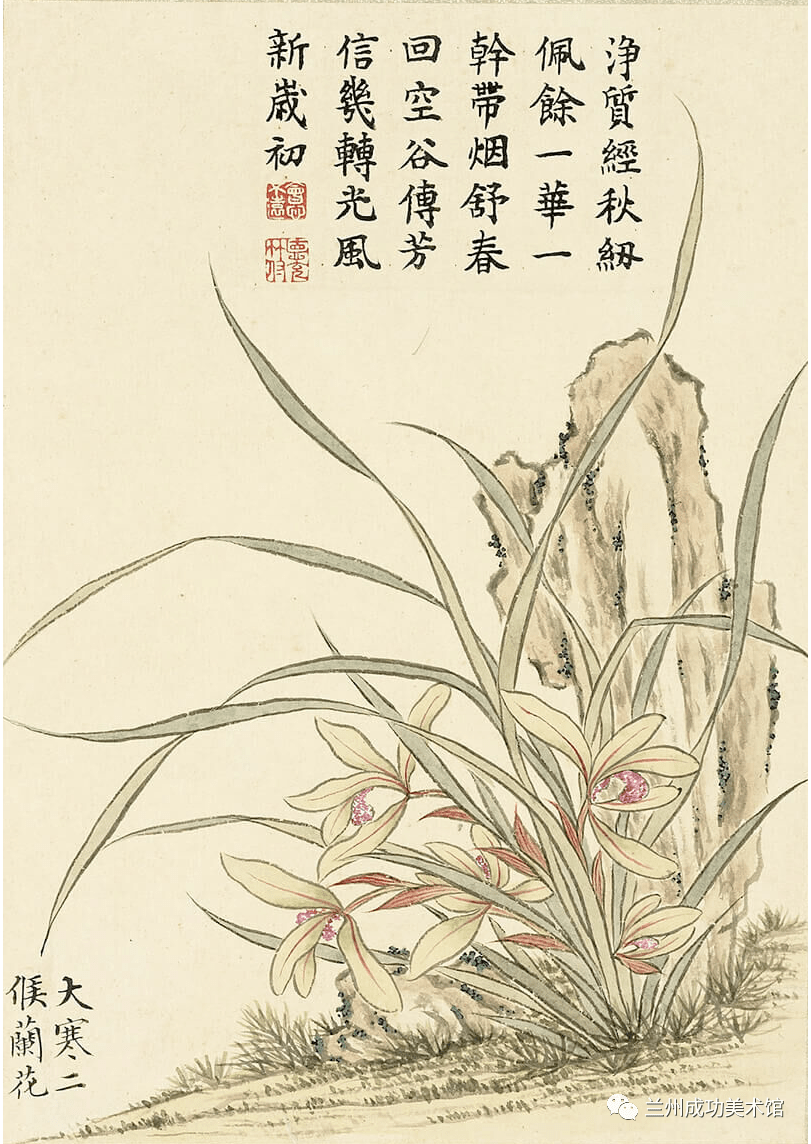 诗画阅微】董诰的《二十四番花信风图》_明一候_书画_宣传