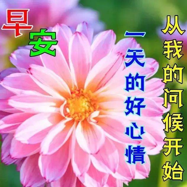 8月25日最新早上好祝福动态表情图片大全，早上好问候语句子！ 永健 人生 阳光