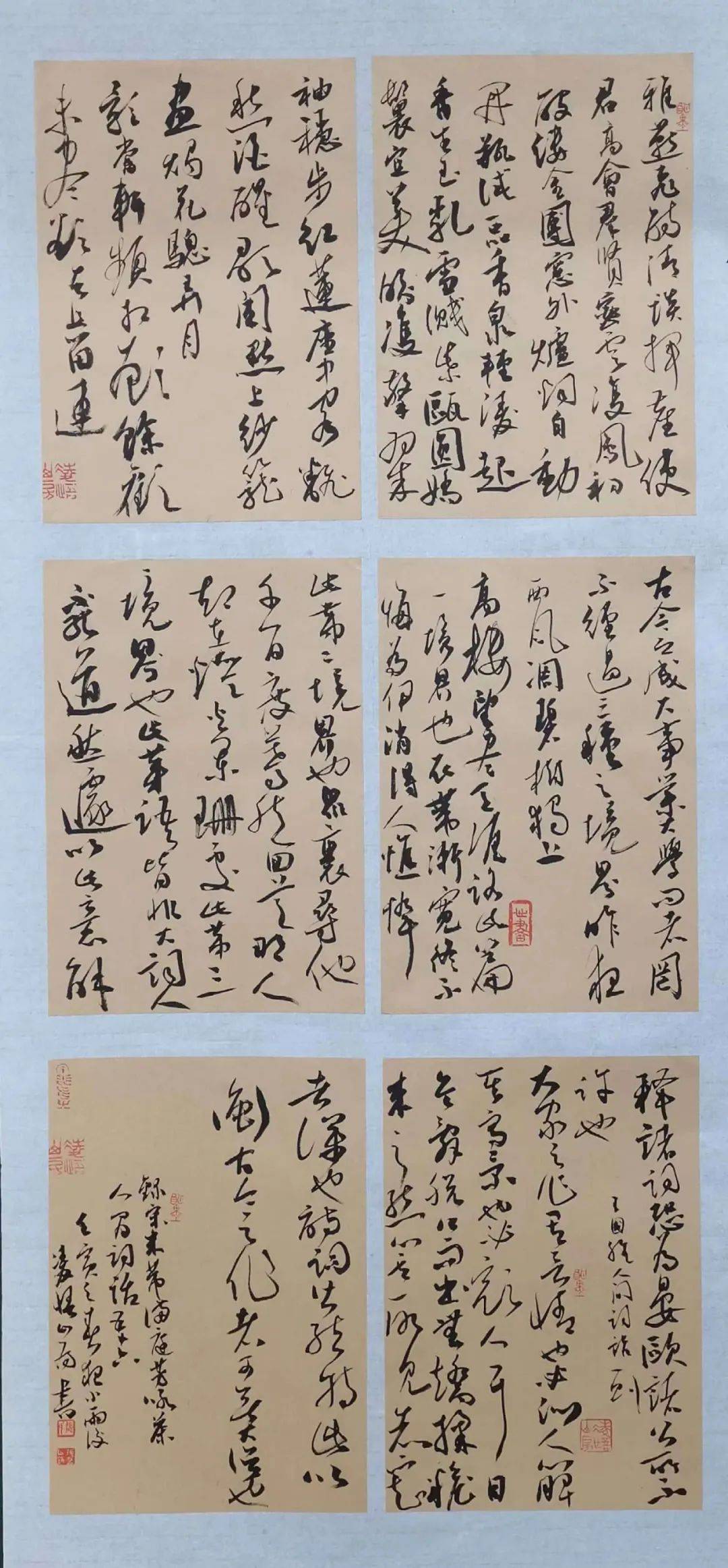 建黄彦平张助刚王海峰范泰和华续先唐晓斌刘期君杨满海杨喜山魏重阳肖