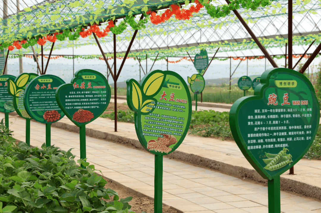 《信用河北》由河北旅游文化广播