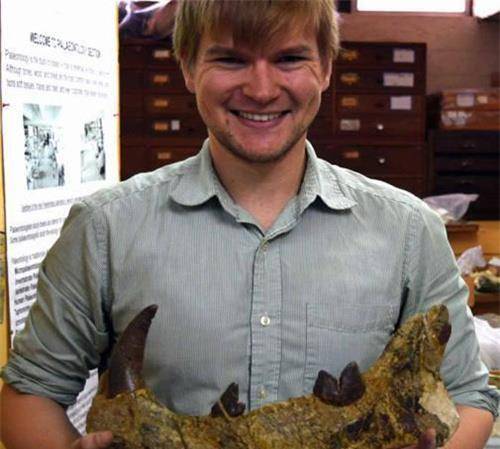 科学家发现史前猛兽:重2吨以大象为食,庆幸它们没活在这个年代_巨狮