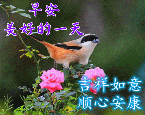 2022秋季早上好动态表情图片带祝福语,让我们的今天从微笑开始!