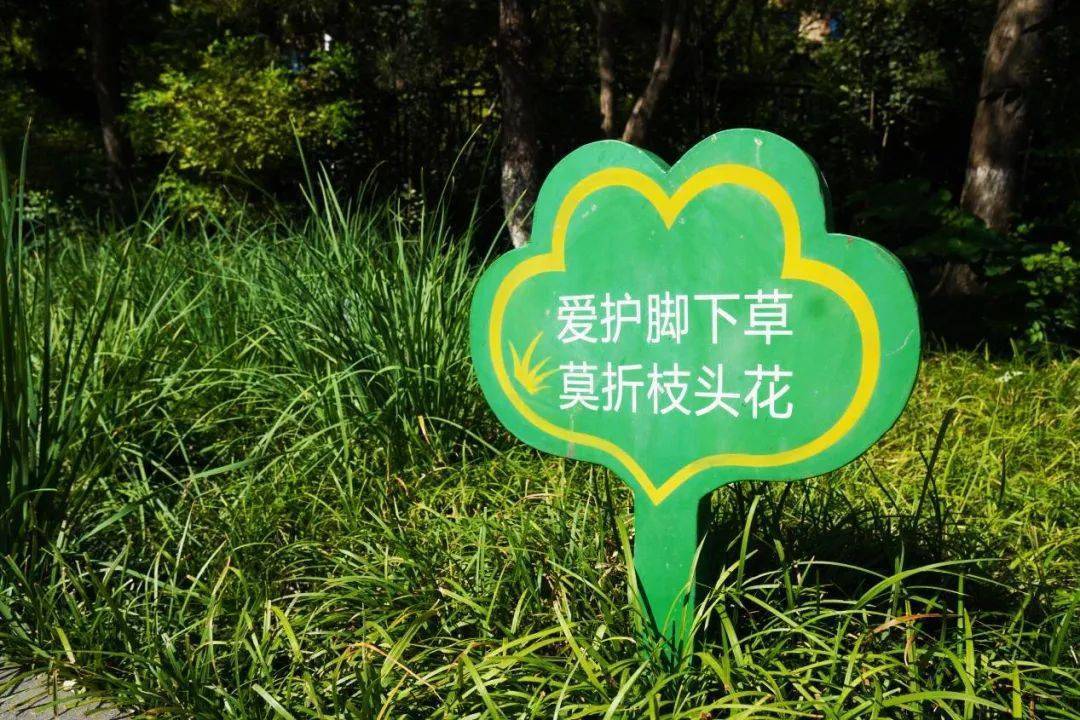 做到文明游园请勿践踏草坪,攀折花草"他们"会时常提醒大家在公园里