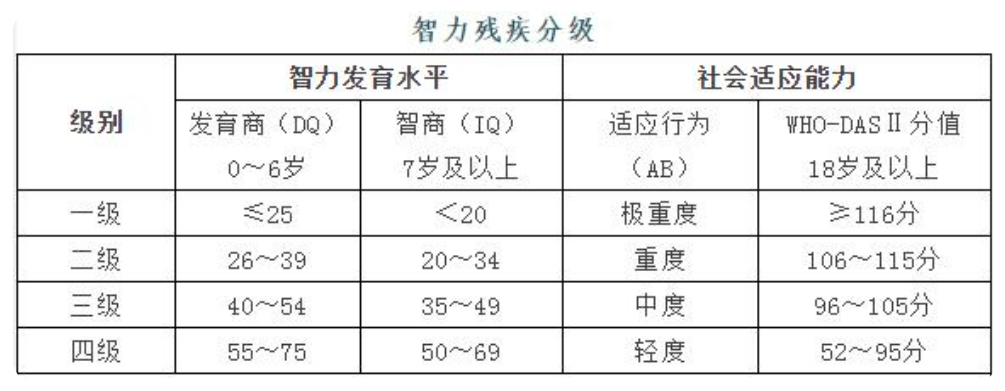 关于自闭症孩子办理残疾证的一切