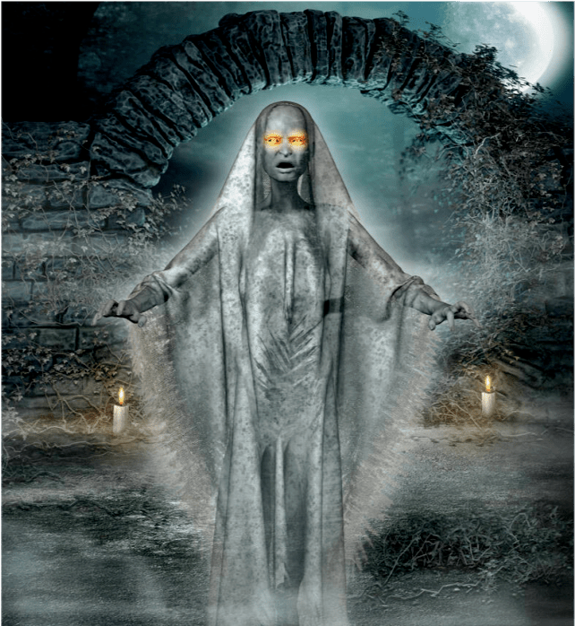 尼克_维度_频率