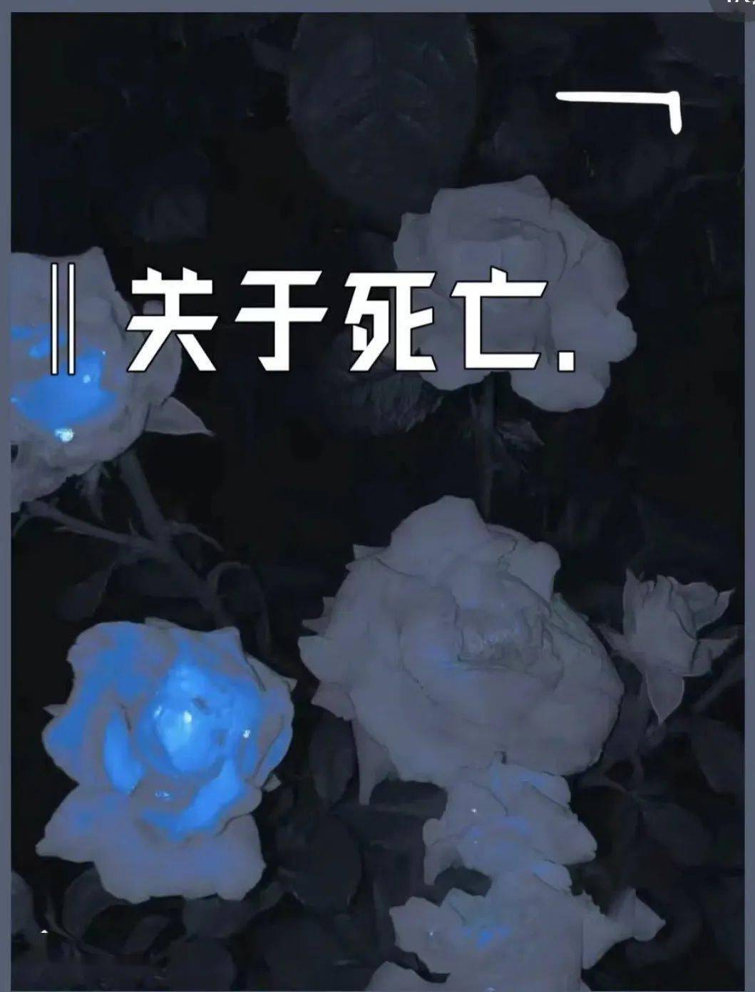 丧逼领袖不是太宰治,现在是博尔赫斯_语录_文字_生命